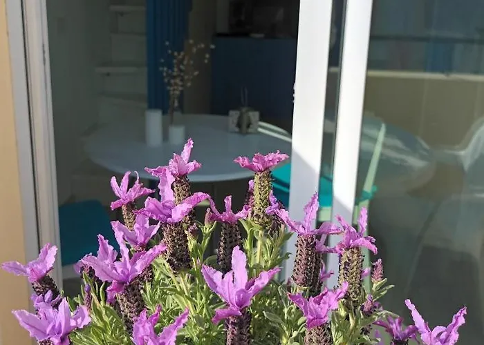 Appartement Attico Victoria Palace Suggestivo E Spettacolare Menton