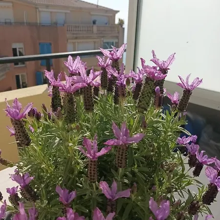 شقة Attico Victoria Palace Suggestivo E Spettacolare *