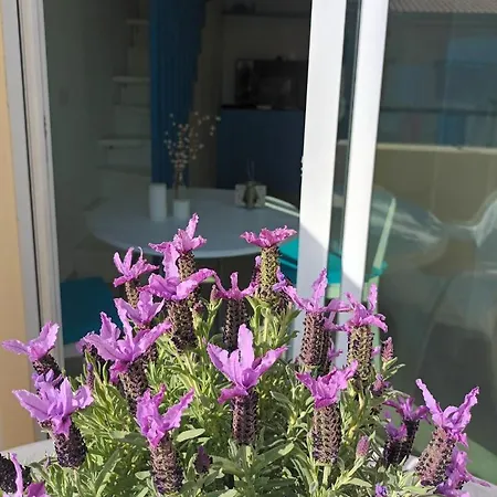 شقة Attico Victoria Palace Suggestivo E Spettacolare مينتون