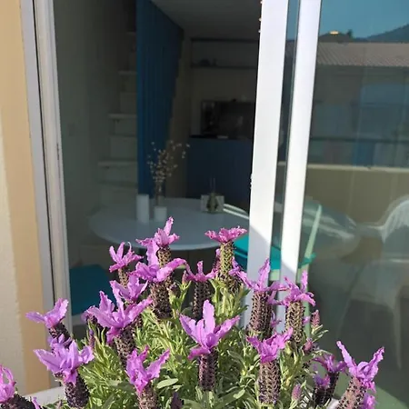 Attico Victoria Palace Suggestivo E Spettacolare Διαμέρισμα *