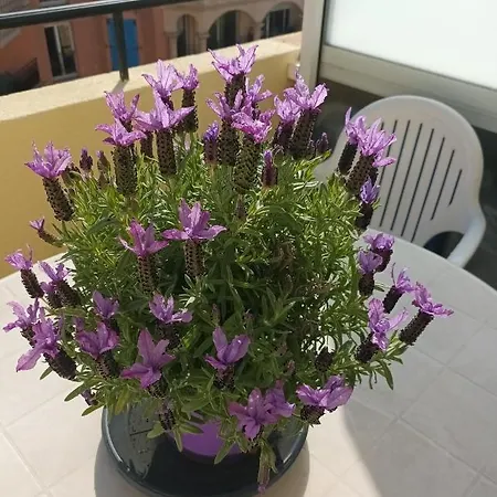 Διαμέρισμα Attico Victoria Palace Suggestivo E Spettacolare