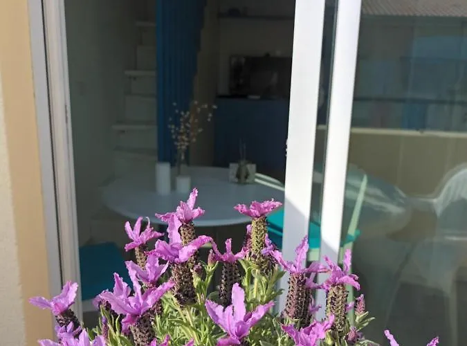 Attico Victoria Palace Suggestivo E Spettacolare Apartment *